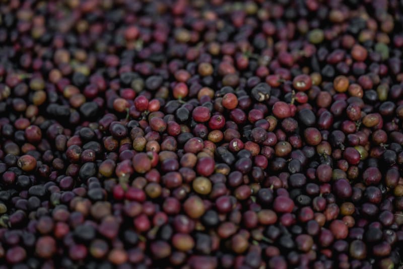 Ethiopia – Yirgacheffe (Natural)