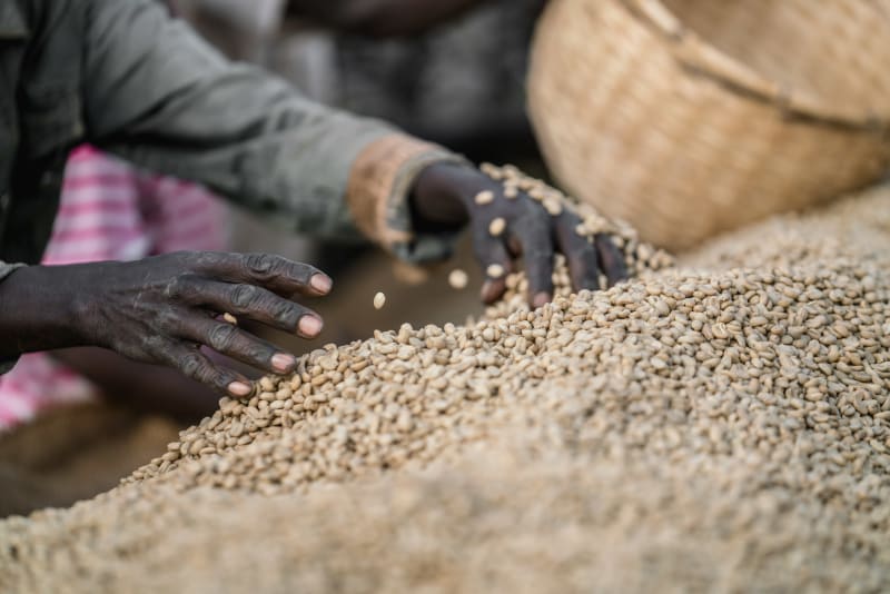 Ethiopia – Yirgacheffe (Natural)