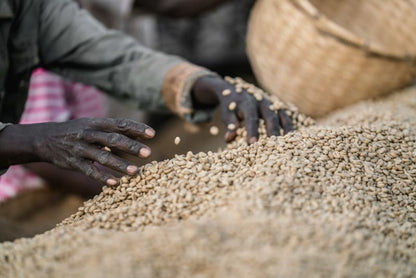 Ethiopia – Yirgacheffe (Natural)