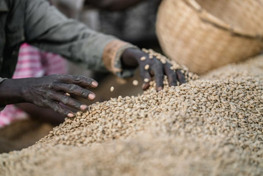 Ethiopia – Yirgacheffe (Natural)